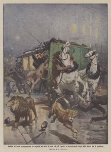 Jaula de leones destrozada tras un choque en una calle de Leipzig, y aterradora fuga de los de Achille Beltrame